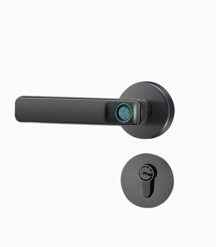 Электронный замок F1